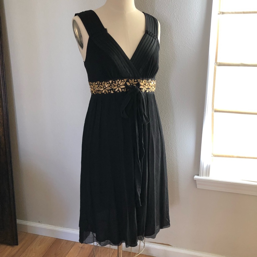 Silk Crepe Embroidered Banana Republic Dress